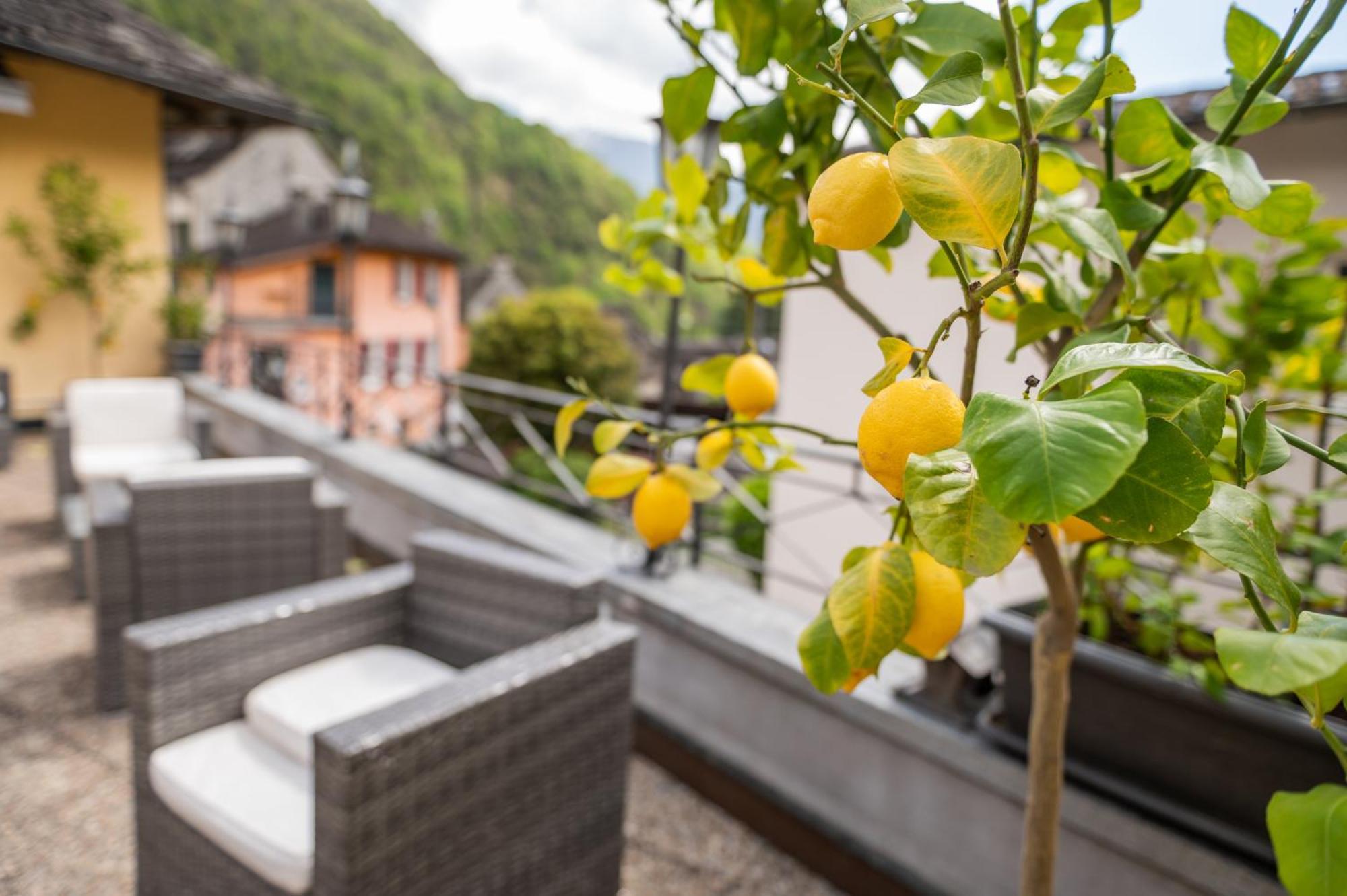 Locanda Poncini Maggia Exteriér fotografie