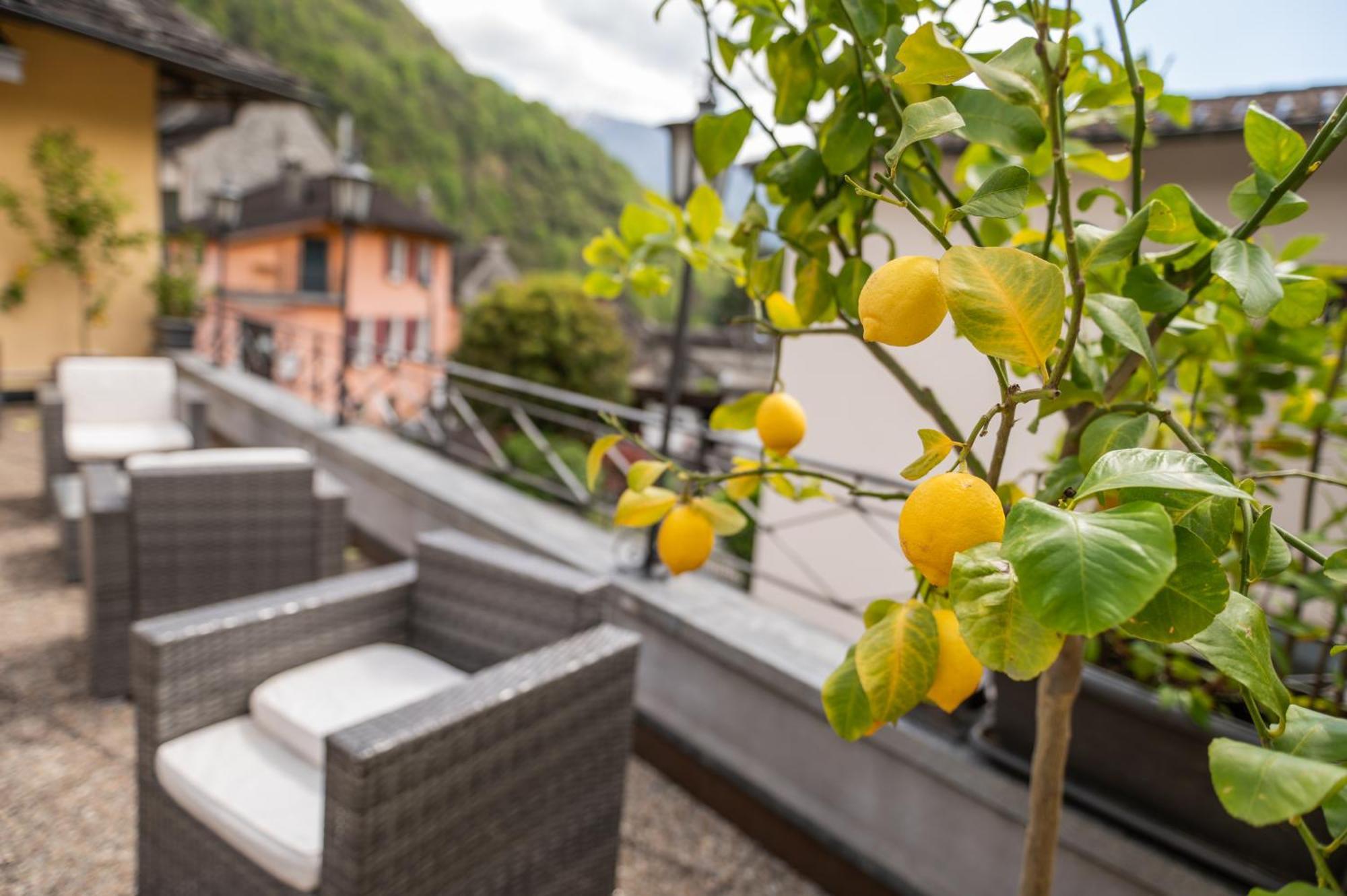 Locanda Poncini Maggia Exteriér fotografie